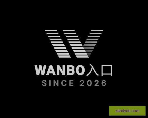 认识wanbo入口